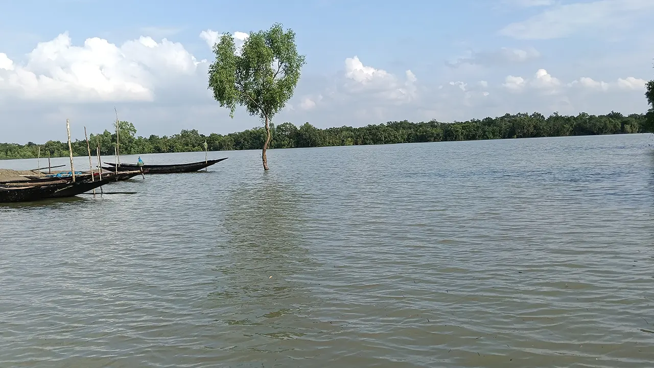 তিন মাস বন্ধ থাকার পর পর্যটকদের জন্য খুলেছে সুন্দরবন ছবি: ফরহাদ হোসেন
